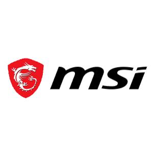 MSI